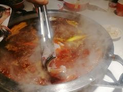 -蜀滋香鲜鱼美蛙火锅(339店)