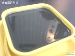 生磨芝麻糊-满记甜品(无锡八佰伴店)