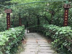 -成都市活水公园