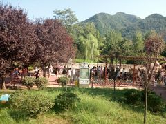 -西安秦岭野生动物园