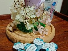 -大国药妆(銀座一丁目駅前店)