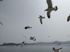 -长岛南北长山旅游景区