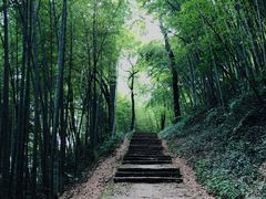 -西湖风景区十里琅珰-五云山