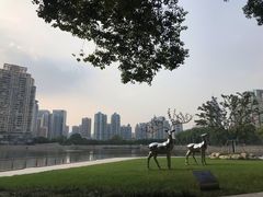 -西北湖绿化广场