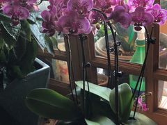 -宝鸡东道花鸟鱼虫市场(吉利花园商场店)