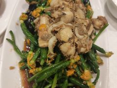 黄瓜花拌扇贝-双井轩(双井店)