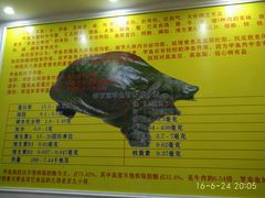 -大圣甲(汉口店)