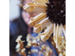 -拾年