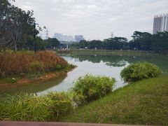 -福田红树林生态公园