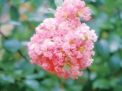 -杭州城北体育公园