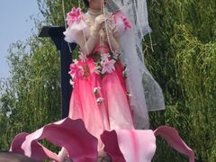 -荷兰花海