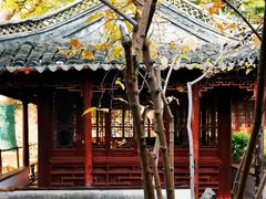 -上海醉白池公园