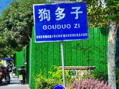 -龙坞茶村