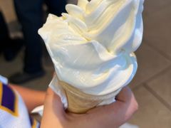 -麦当劳(王顶堤店)