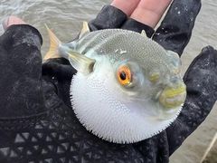 -奉贤海滩