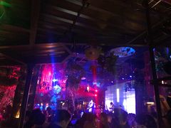 -胡桃里音乐酒馆(石家庄店)