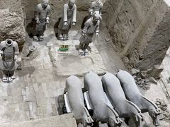 -秦始皇帝陵博物院(兵马俑)