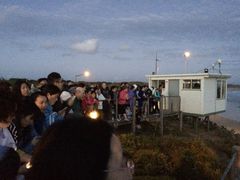 -企鹅岛