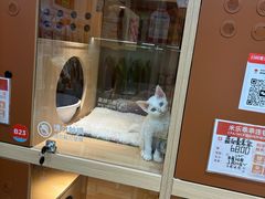 -壹海城ONE MALL
