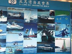 -亚龙湾海底世界