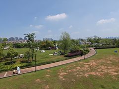 -九龙湖公园