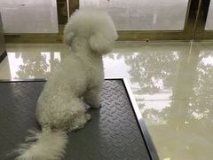 -仁华宠物医院(青羊店)