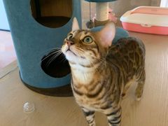 -Me Coffee下午茶艺术空间