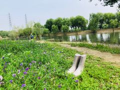 -门城湖公园