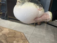 -鲐赏河豚(长寿店)