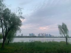 -渤公岛生态公园