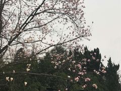 -白马涧龙池景区