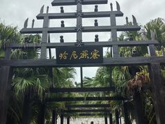 -云南民族村