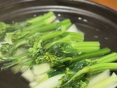 -广州富力君悦大酒店空中花园