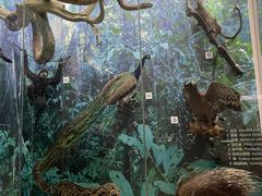 -国家自然博物馆