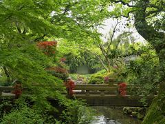-上海醉白池公园