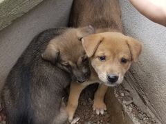 -中华老火锅(金渝大道店)