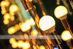 -上海浦东喜来登由由大酒店·宴会厅