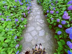 -玉女潭景区