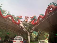 -秦皇岛野生动物园