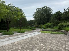-北坞公园