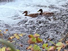 -水磨沟公园
