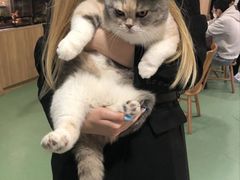 -藦茜花园宠物主题亲子互动体验馆(国顺东路店)