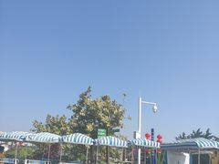 -芒洲湿地公园