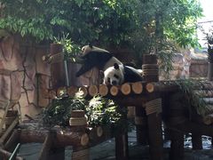 -泉州海丝野生动物世界