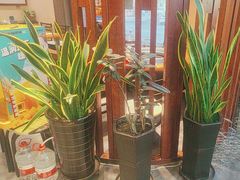 -灶座小锅烀饼·铁锅炖(道里店)