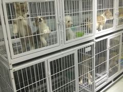 -FAELING PETS美天灵宠物(富力广场店)