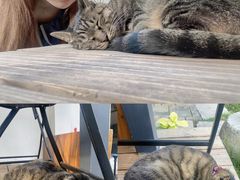 -PAUSE CAFE(南秀村店)