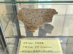 -房山世界地质公园博物馆