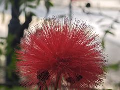 -草庵摩尼教遗址公园