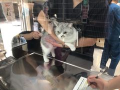 -申普宠物医院·心脏介入·心血管微创(总院)